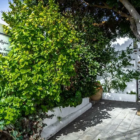 & Balcony 3d Lejlighed